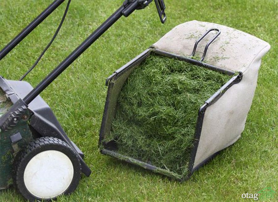 تکنیک های صحیح چمن زنی برای داشتن یک باغ مرتب تکنیک های صحیح چمن زنی برای داشتن یک باغ مرتب