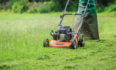 تکنیک های صحیح چمن زنی برای داشتن یک باغ مرتب