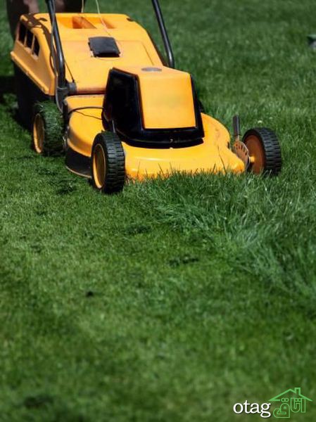 تکنیک های صحیح چمن زنی برای داشتن یک باغ مرتب تکنیک های صحیح چمن زنی برای داشتن یک باغ مرتب
