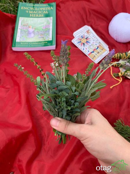 دستور تهیه عود طبیعی در چند مرحله ساده دستور تهیه عود طبیعی در چند مرحله ساده