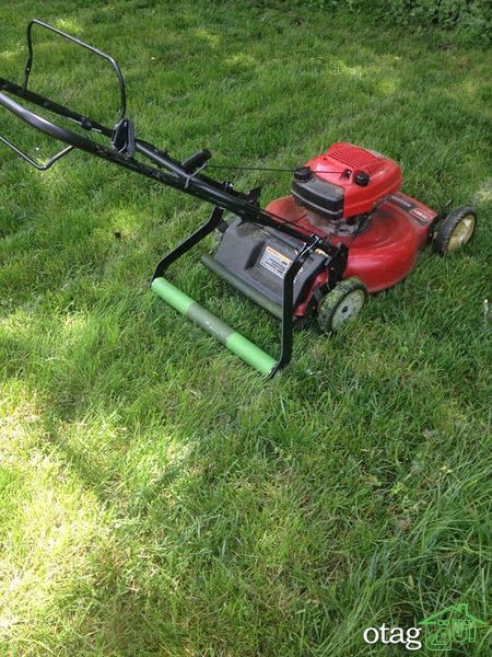 تکنیک های صحیح چمن زنی برای داشتن یک باغ مرتب تکنیک های صحیح چمن زنی برای داشتن یک باغ مرتب