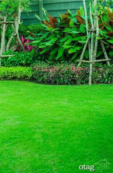 تکنیک های صحیح چمن زنی برای داشتن یک باغ مرتب تکنیک های صحیح چمن زنی برای داشتن یک باغ مرتب