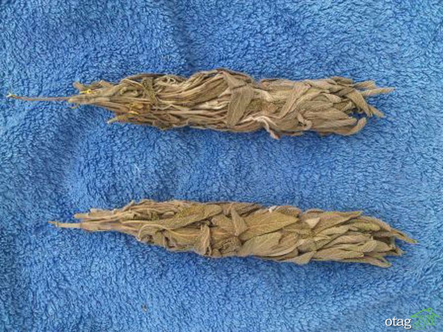 دستور تهیه عود طبیعی در چند مرحله ساده دستور تهیه عود طبیعی در چند مرحله ساده