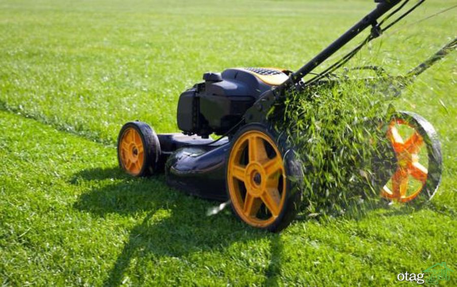 تکنیک های صحیح چمن زنی برای داشتن یک باغ مرتب تکنیک های صحیح چمن زنی برای داشتن یک باغ مرتب