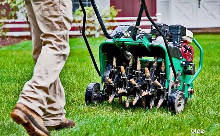 تکنیک های صحیح چمن زنی برای داشتن یک باغ مرتب تکنیک های صحیح چمن زنی برای داشتن یک باغ مرتب