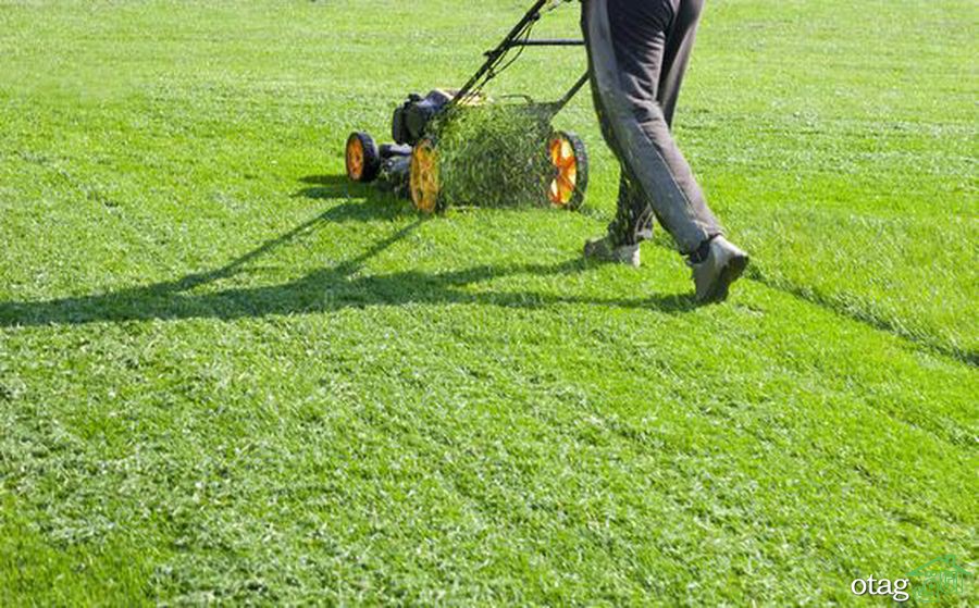 تکنیک های صحیح چمن زنی برای داشتن یک باغ مرتب تکنیک های صحیح چمن زنی برای داشتن یک باغ مرتب