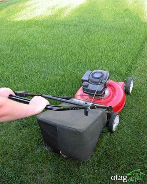 تکنیک های صحیح چمن زنی برای داشتن یک باغ مرتب تکنیک های صحیح چمن زنی برای داشتن یک باغ مرتب