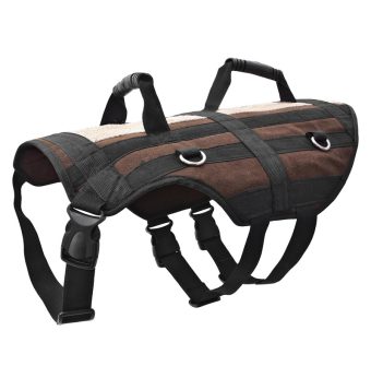 خرید 39 مدل هارنس ورزشی با کیفیت بالا و کاربردی + قیمت مناسب