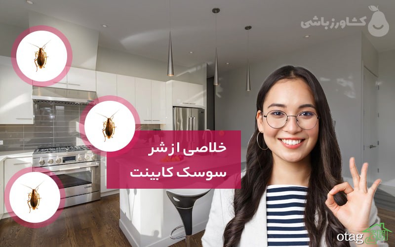 روش از بین بردن سوسک کابینت ام دی اف | راهکارهای کاملا موثر
