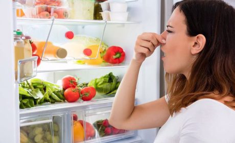 تمیز کردن گام به گام برای رفع بوی یخچال