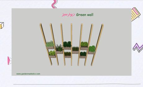 با دیوار سبز ، زیبایی و هوای پاک را به خانه خود هدیه دهید