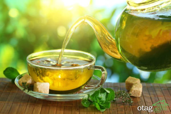 دمنوش لاغری چیست و چطور استفاده کنیم؟ دمنوش لاغری چیست و چطور استفاده کنیم؟