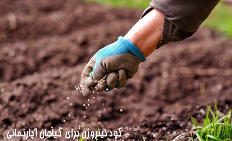 کود نیتروژن برای گیاهان آپارتمانی