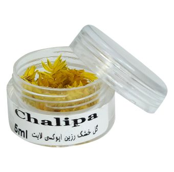 خرید 39 مدل گل خشک بسیار زیبا با قیمت مناسب