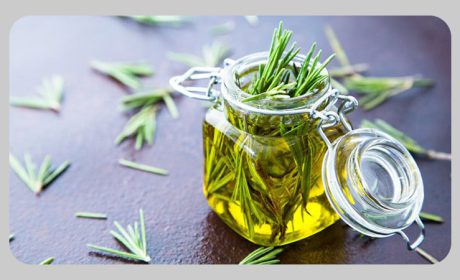 خواص و فواید روغن رزماری