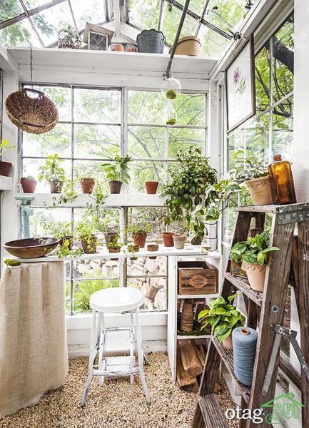چگونه گلخانه کوچک در خانه داشته باشیم؟