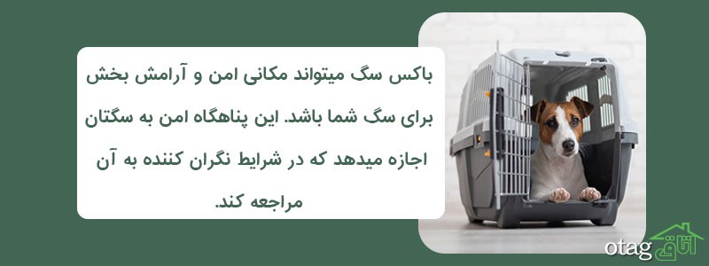 قیمت و خرید 39 مدل بهترین باکس سگ و کیف حمل