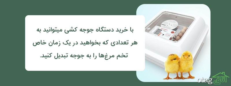قیمت و خرید 20 مدل دستگاه جوجه کشی درجه یک