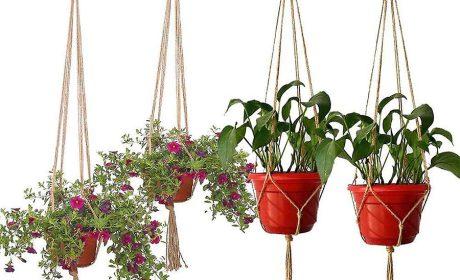 کاربرد قلاب‌های گیردار در سقف خانه جهت نگهداری گلدان‌ها