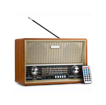 لیست قیمت 40 مدل رادیو با کیفیت عالی + لینک خرید