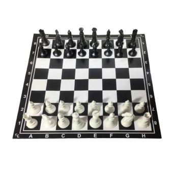 خرید اینترنتی 41 مدل شطرنج و مهره درجه یک