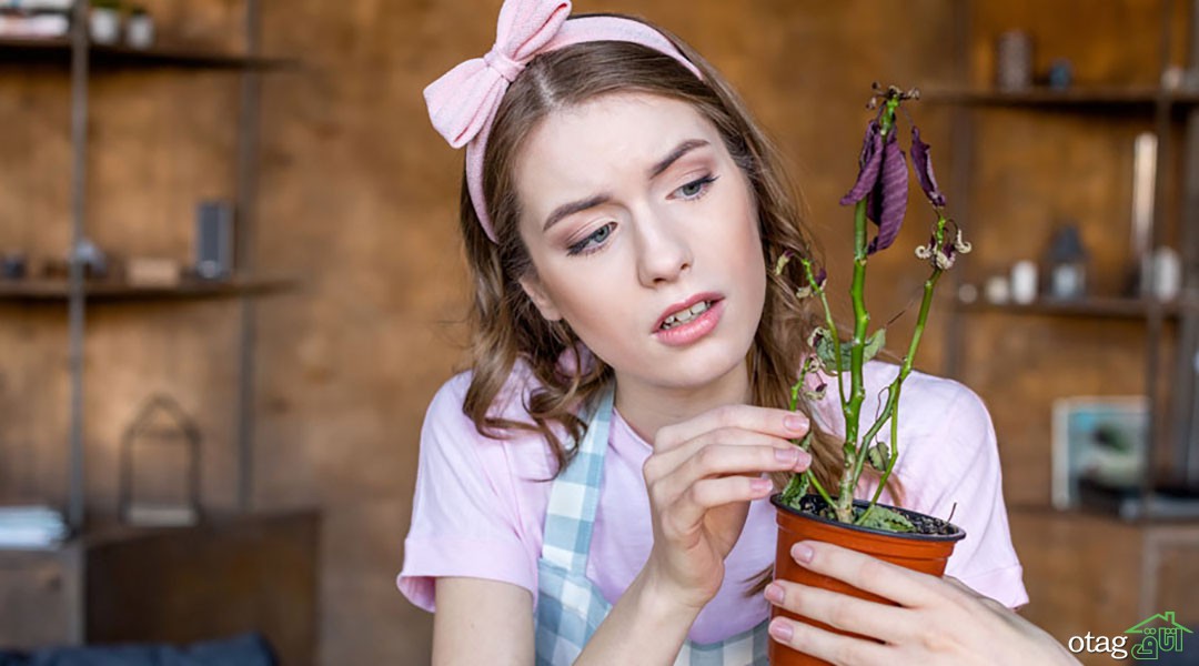 چند روش برای پاکسازی انرژی بد در خانه
