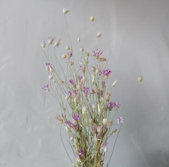 خرید 39 مدل گل خشک بسیار زیبا با قیمت مناسب
