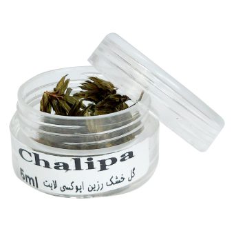خرید 39 مدل گل خشک بسیار زیبا با قیمت مناسب