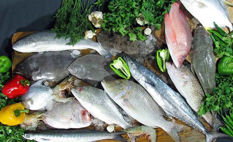 راهنمای خرید ماهی تازه و انواع گوشت و نکات طلایی نگهداری آن