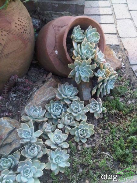 بهترین متریال ها برای محوطه سازی حیاط بهترین متریال ها برای محوطه سازی حیاط