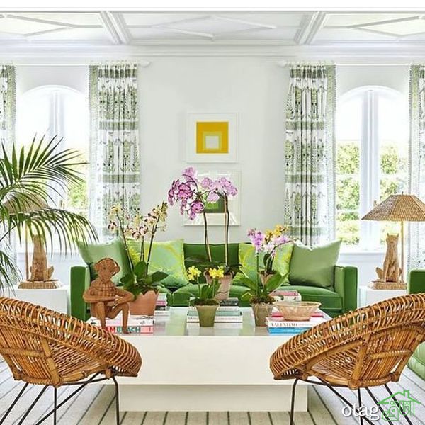 استفاده از المان&zwnj;های طبیعی در دکوراسیون خانه