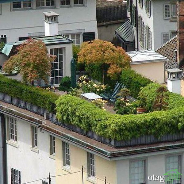 همه چیز درباره باغ سبز برای بام خانه همه چیز درباره باغ سبز برای بام خانه