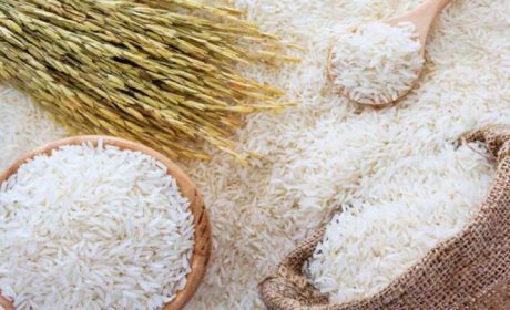بهترین زمان خرید برنج عمده