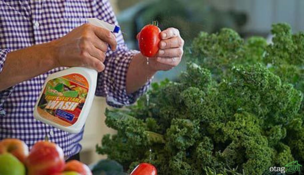 روشهای صحیح ضدعفونی کردن سبزیجات روشهای صحیح ضدعفونی کردن سبزیجات