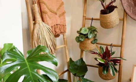 اضافه کردن طبیعت در دکوراسیون داخلی منزل