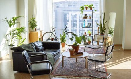 نکات لازم در دکوراسیون داخلی خانه نوساز