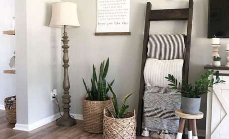 گل‌ها را در کجاهای خانه بگذاریم؟