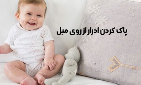 چگونه بوی ادرار را از روی مبل پاک کنیم
