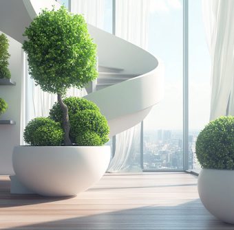 ۱۰۰ نمونه عکس و بهترین درختچه های آپارتمانی با طول عمر بالا