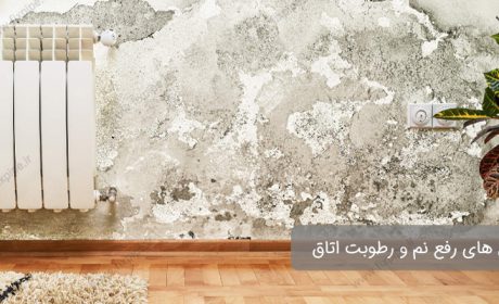 چطور بوی نم اتاق را از بین ببریم؟ – 10 روش آسان و کاربردی