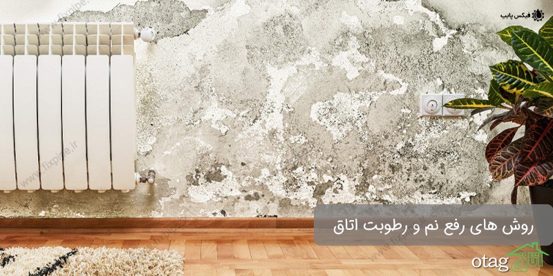 چطور بوی نم اتاق را از بین ببریم؟ – 10 روش آسان و کاربردی چطور بوی نم اتاق را از بین ببریم؟ – 10 روش آسان و کاربردی