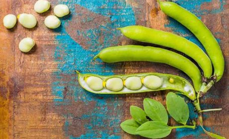 باقالی و لاغری؛ نقش این حبوبه مغذی در رژیم‌های غذایی