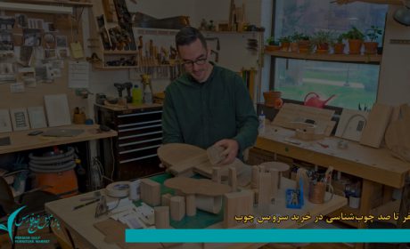 راهنمای چوب‌شناسی برای انتخاب حرفه ای سرویس چوب