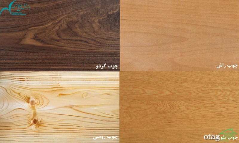 راهنمای چوبشناسی برای انتخاب حرفه ای سرویس چوب راهنمای چوبشناسی برای انتخاب حرفه ای سرویس چوب