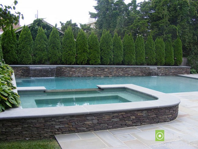 مناسب ترین گیاهان برای حصار دور حیاط خانه بهمراه عکس مناسب ترین گیاهان برای حصار دور حیاط خانه بهمراه عکس