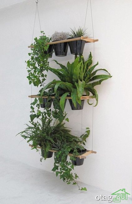 40 مدل استفاده از گیاهان در دکوراسیون منزل[شیک-مدرن-زیبا]