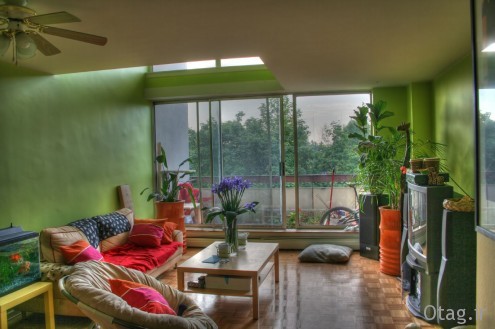 تاثیر استفاده از گل و گیاه آپارتمانی طبیعی در دکوراسیون منزل