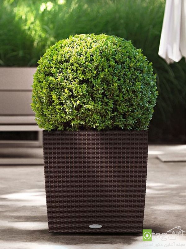 مدل گلدان با قابلیت آبدهی خودکار به گیاهان مناسب آپارتمان