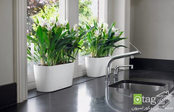 مدل گلدان با قابلیت آبدهی خودکار به گیاهان مناسب آپارتمان