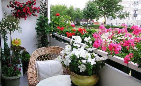 روش های جالب تزیین بالکن کوچک با وسایل متنوع و رنگارنگ